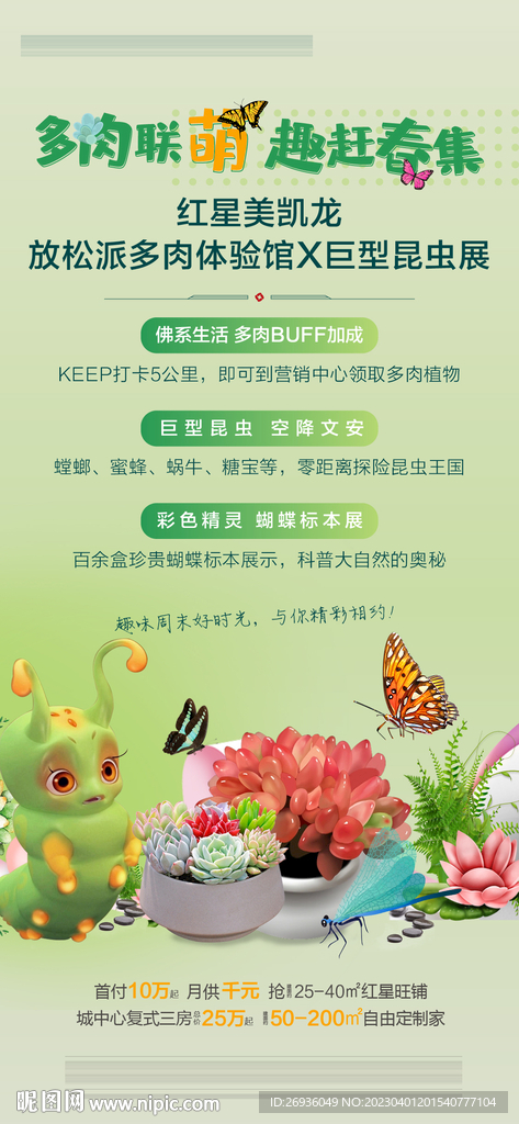 多肉活动