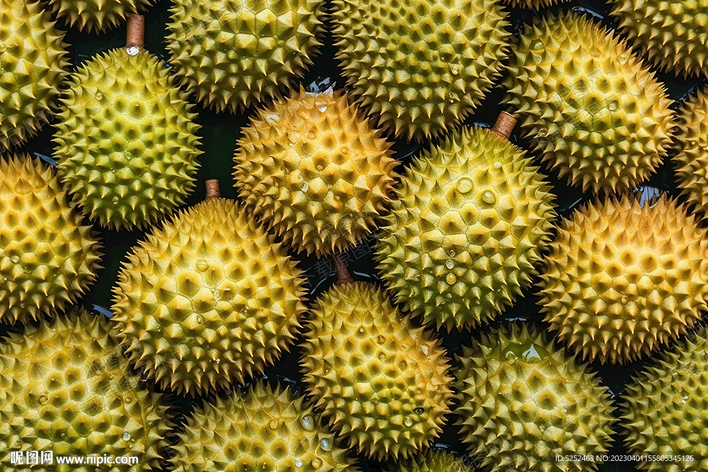 泰国榴莲