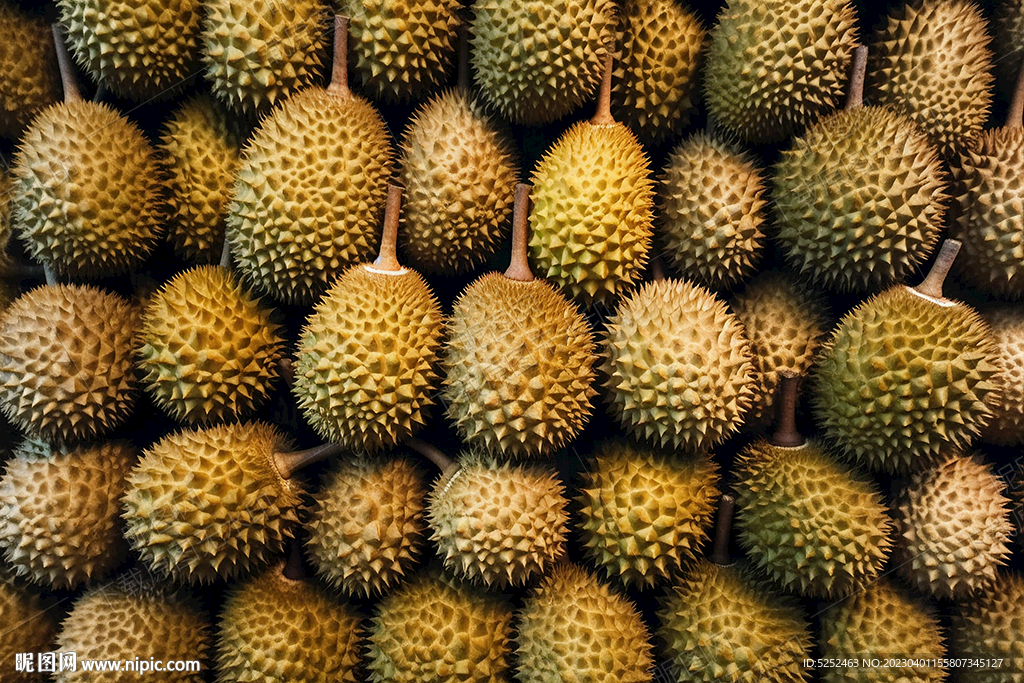 榴莲广告