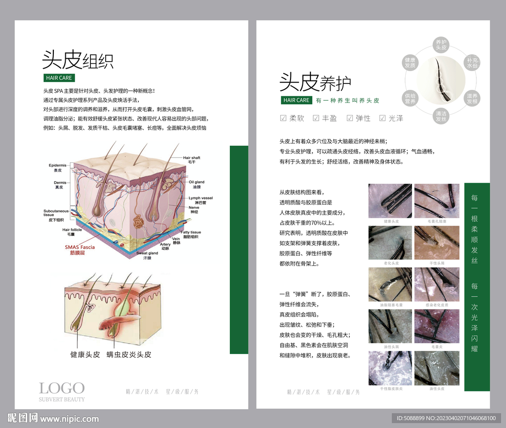 头皮  发廊装饰画护发