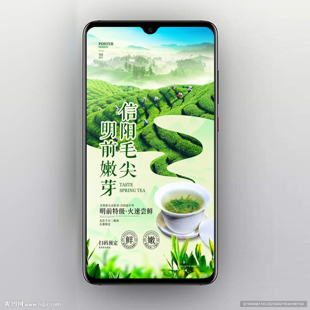 毛尖
