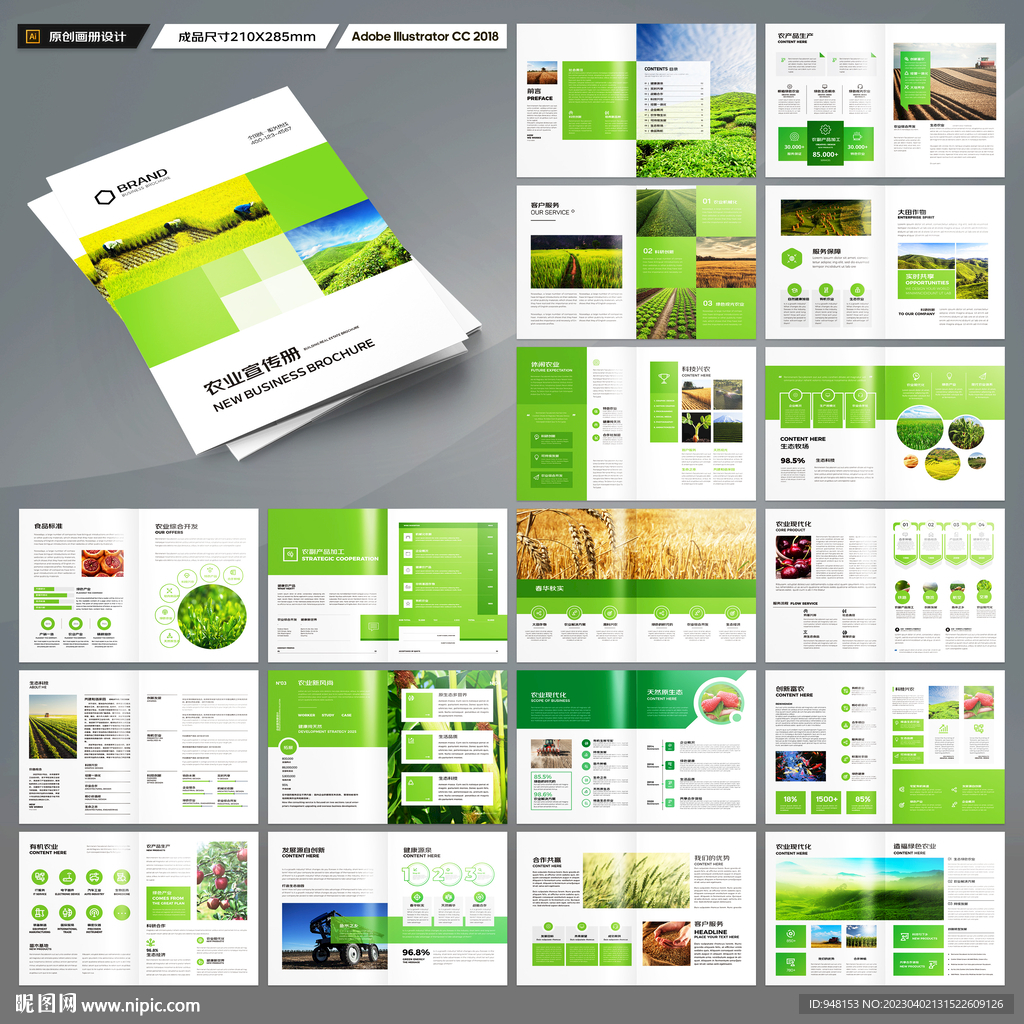 农产品宣传册