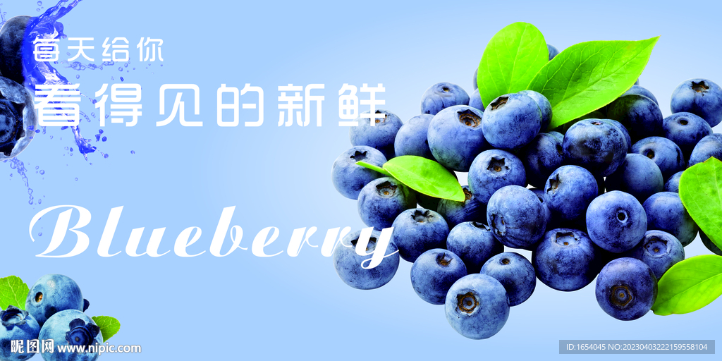 蓝莓海报