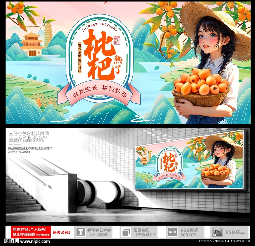 枇杷