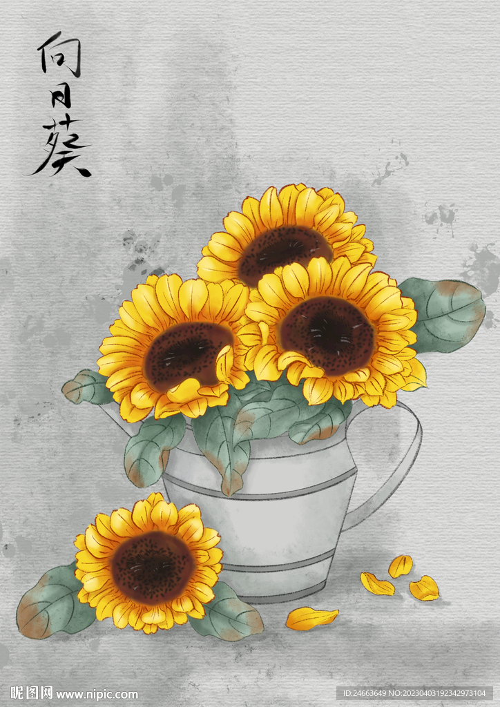 向日葵