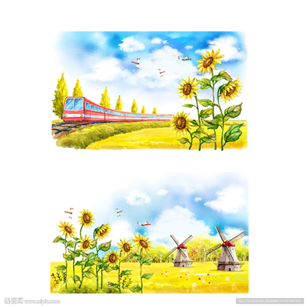 向日葵风景图