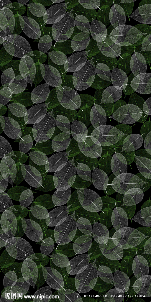 高清分层透明底树叶打印图