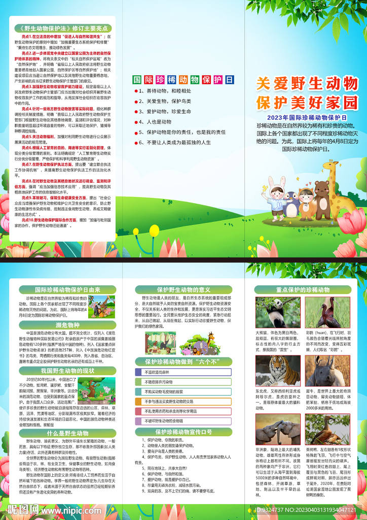国际珍稀动物保护日三折页