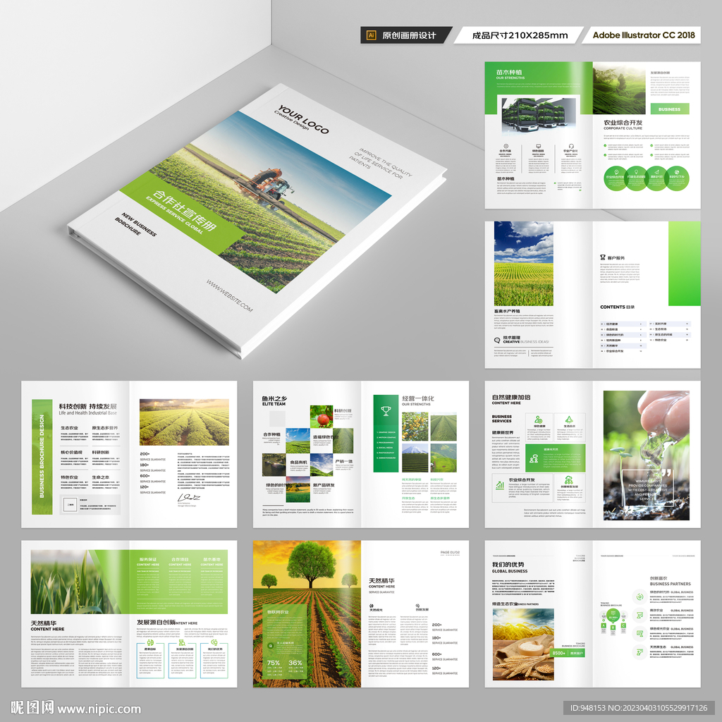 农业合作社画册
