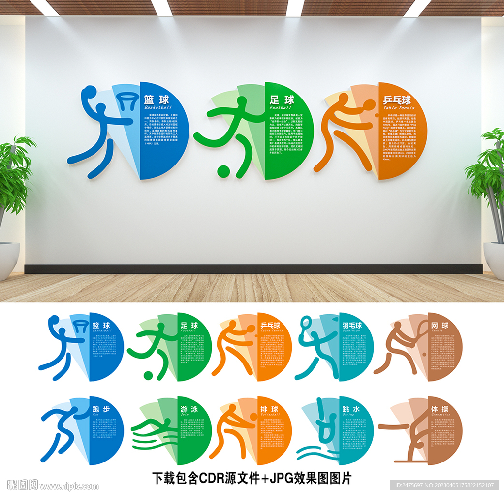 体育