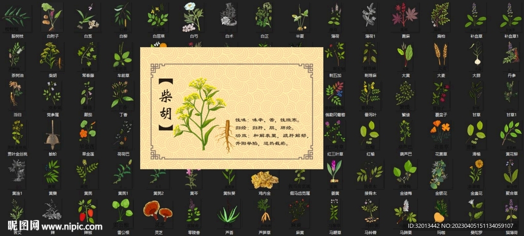 170款中草药免扣素材
