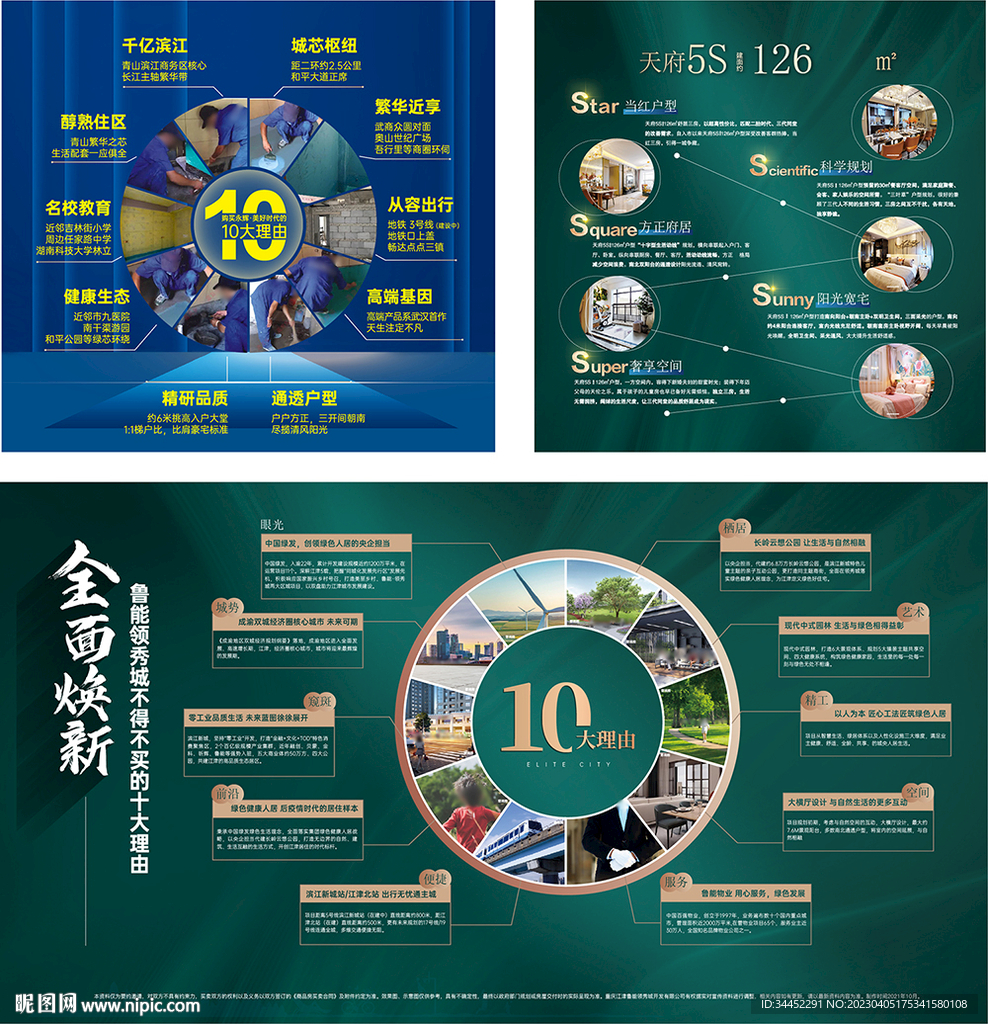 发展历程