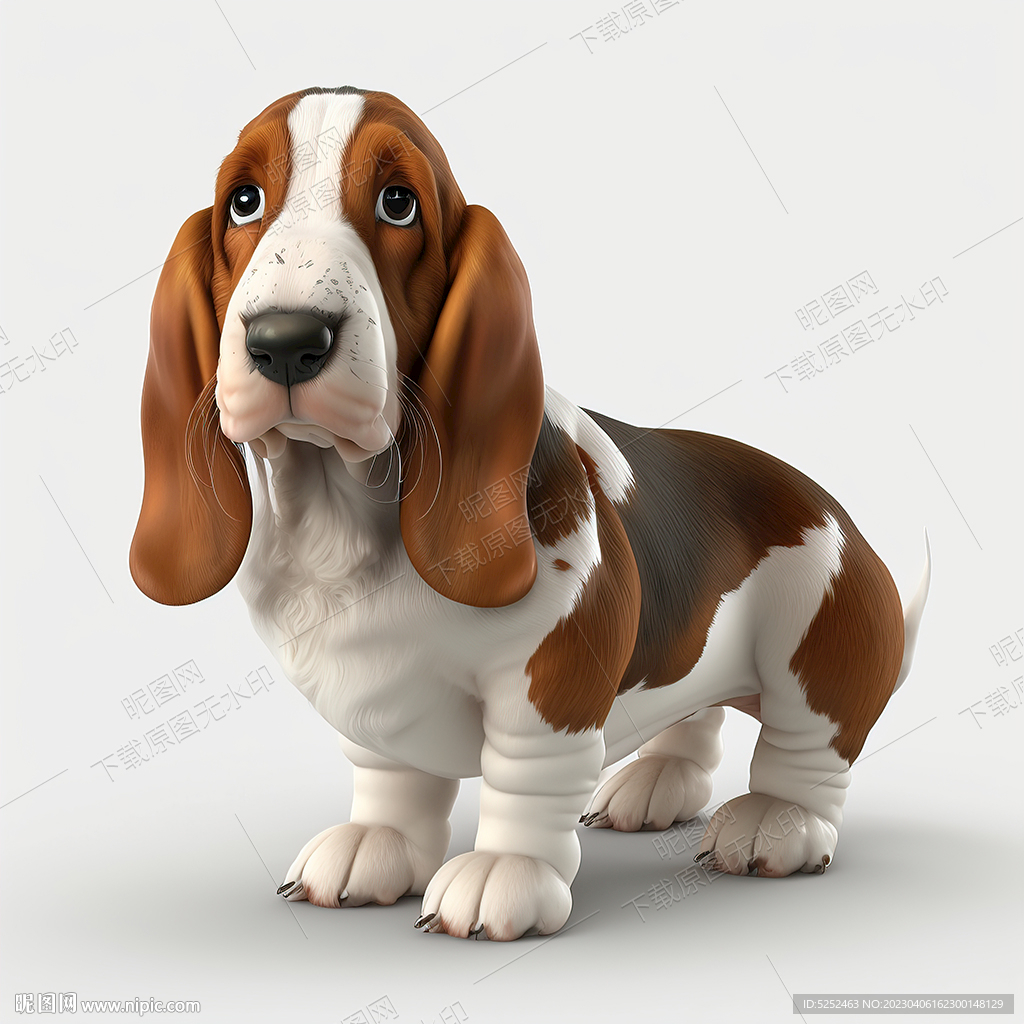 可爱的巴吉度猎犬