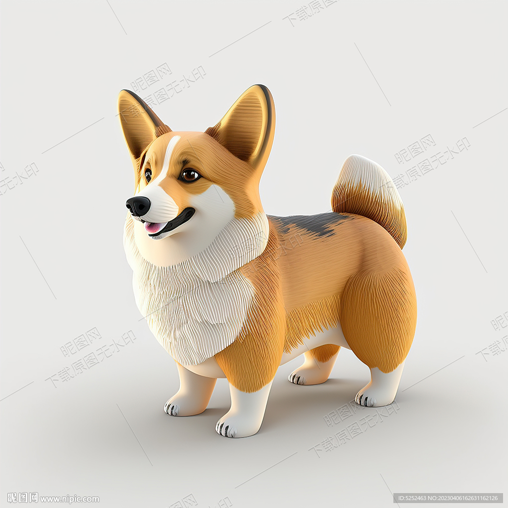 高清柯基犬