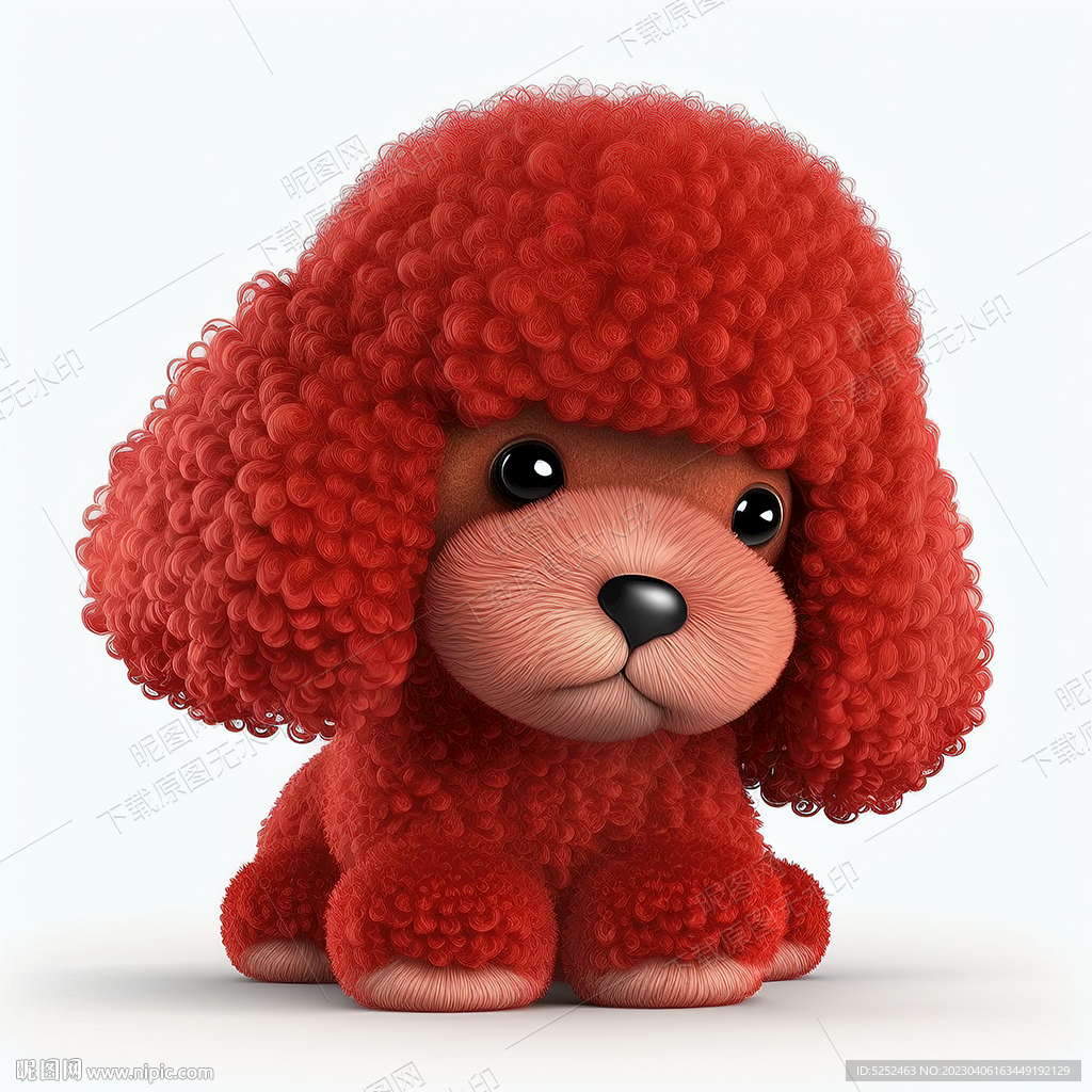 高清红贵宾犬