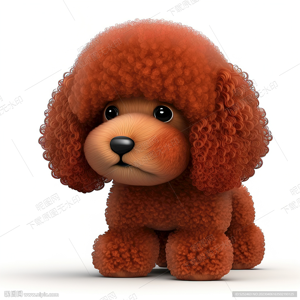 红贵宾犬