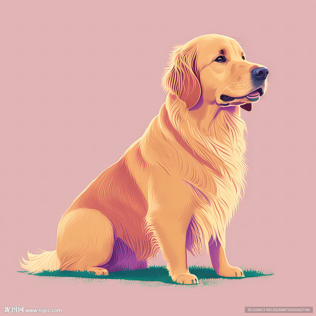 蹲坐金毛犬