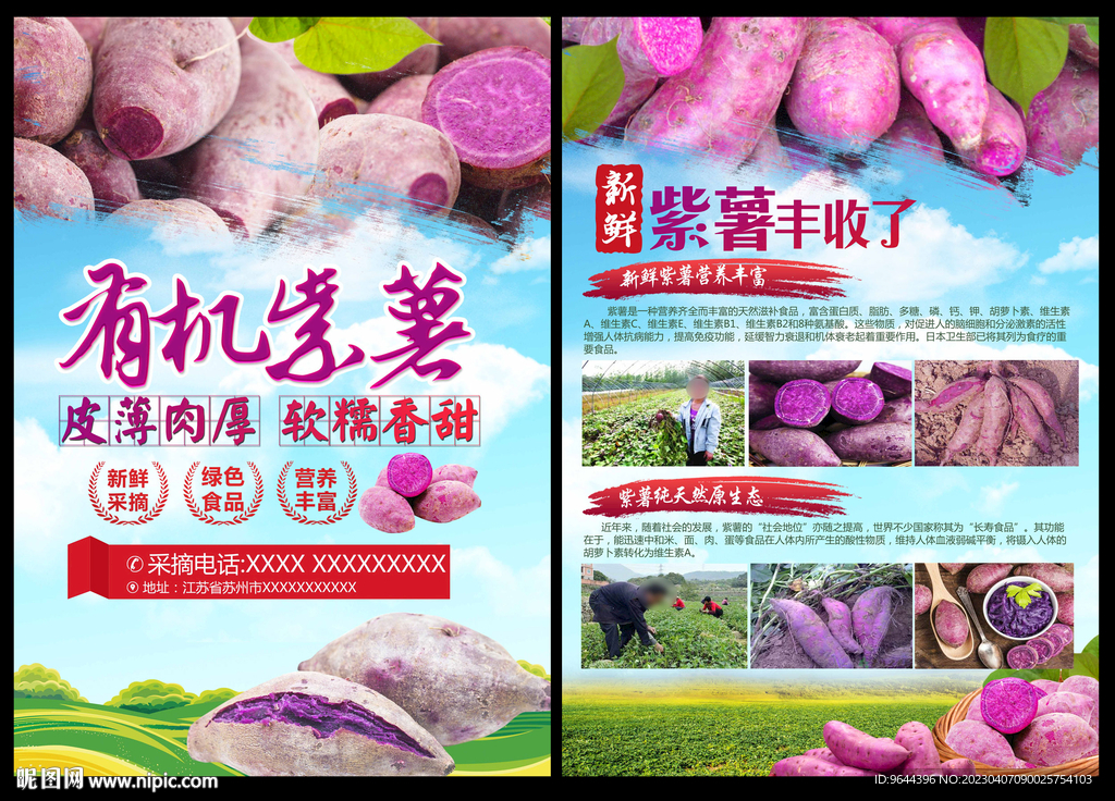 紫薯单页