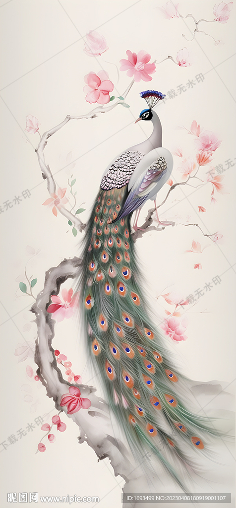 孔雀装饰画