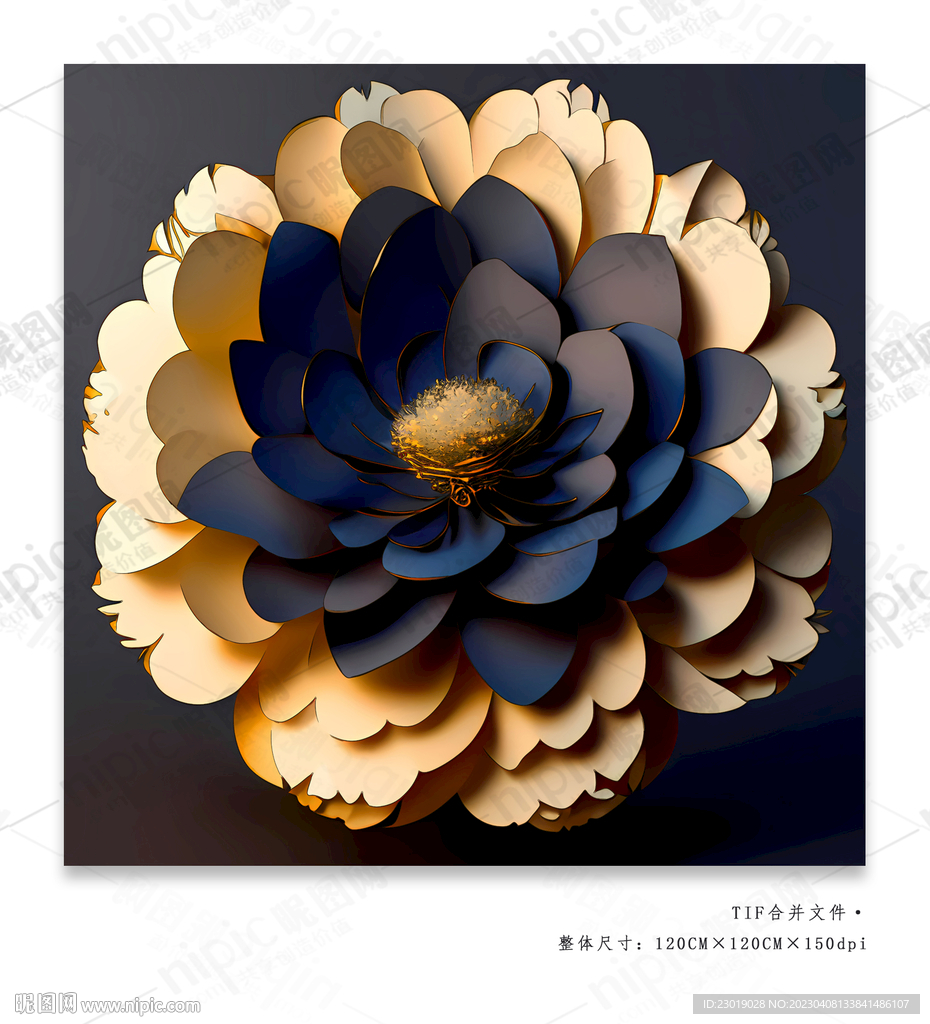 牡丹花