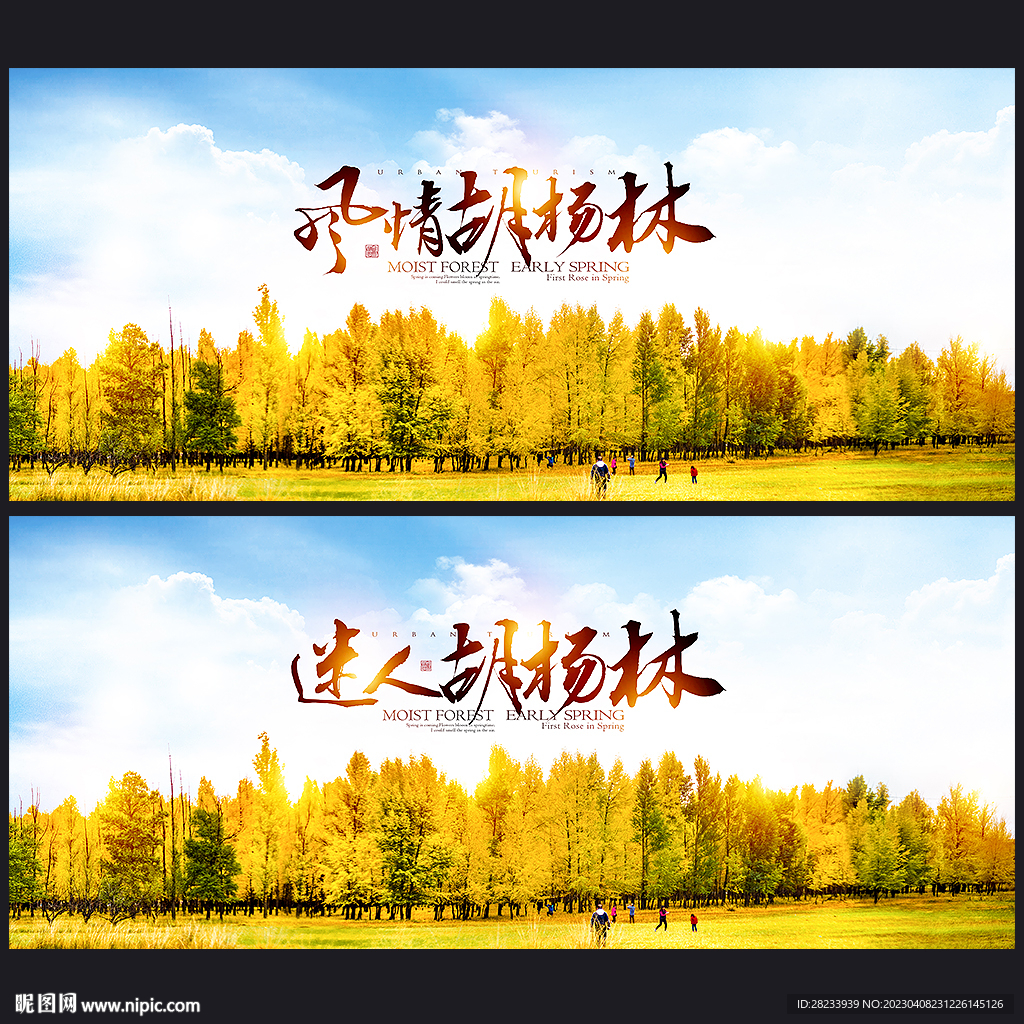 胡杨林