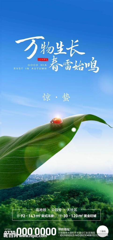 惊蛰
