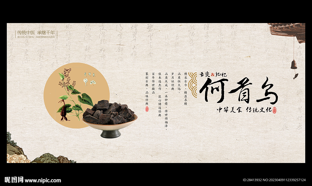何首乌