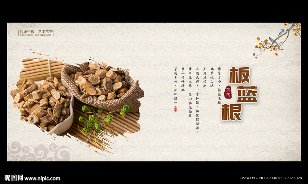 板蓝根