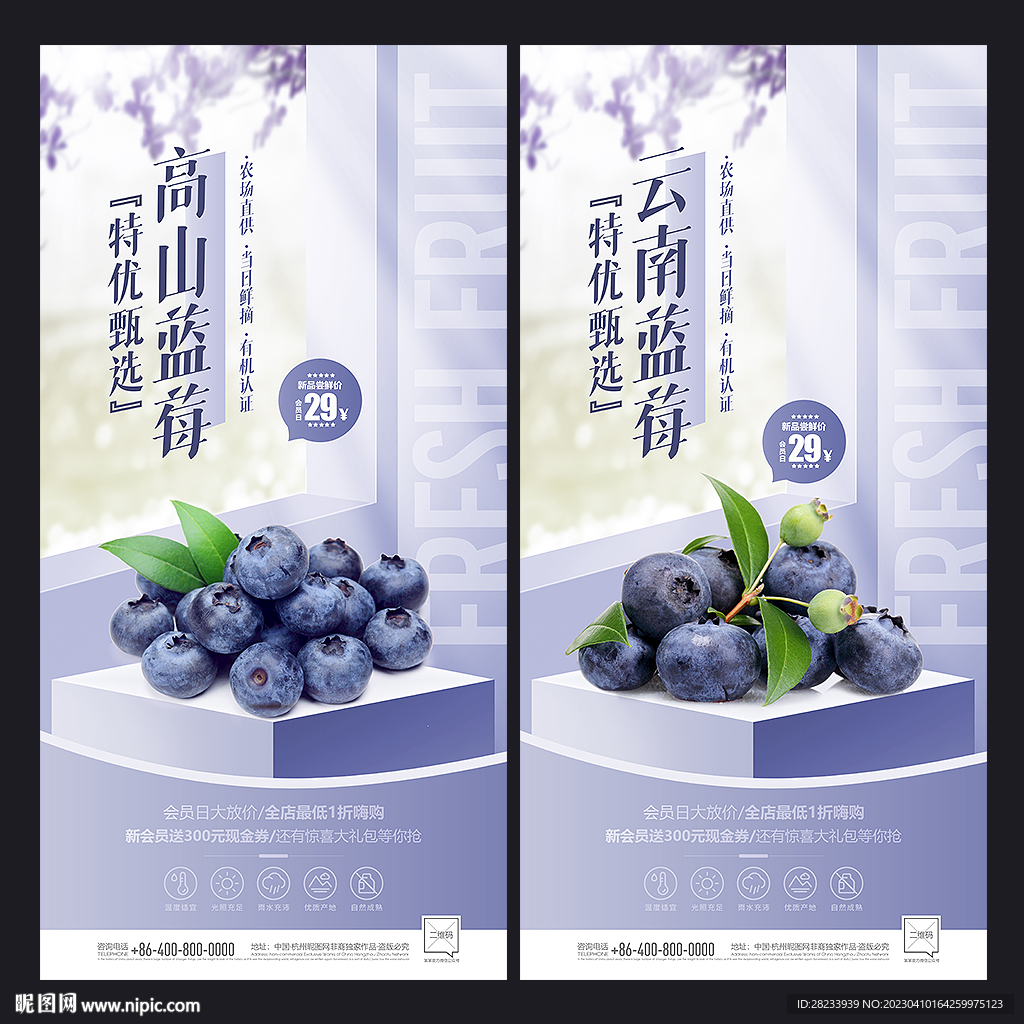 蓝莓