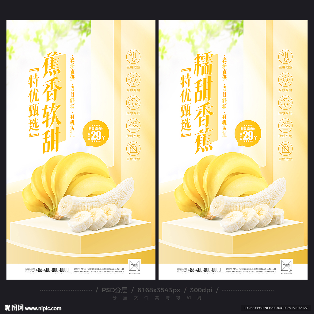 香蕉