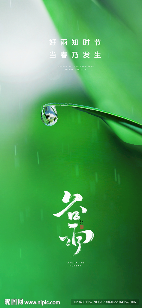 谷雨