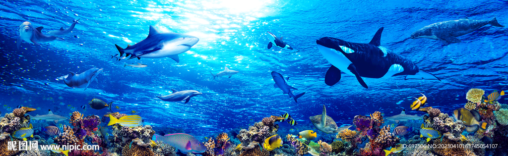 蓝色海底世界海豚鲸鱼立体背景墙