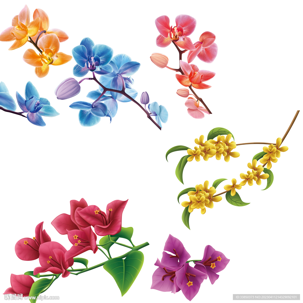 花卉
