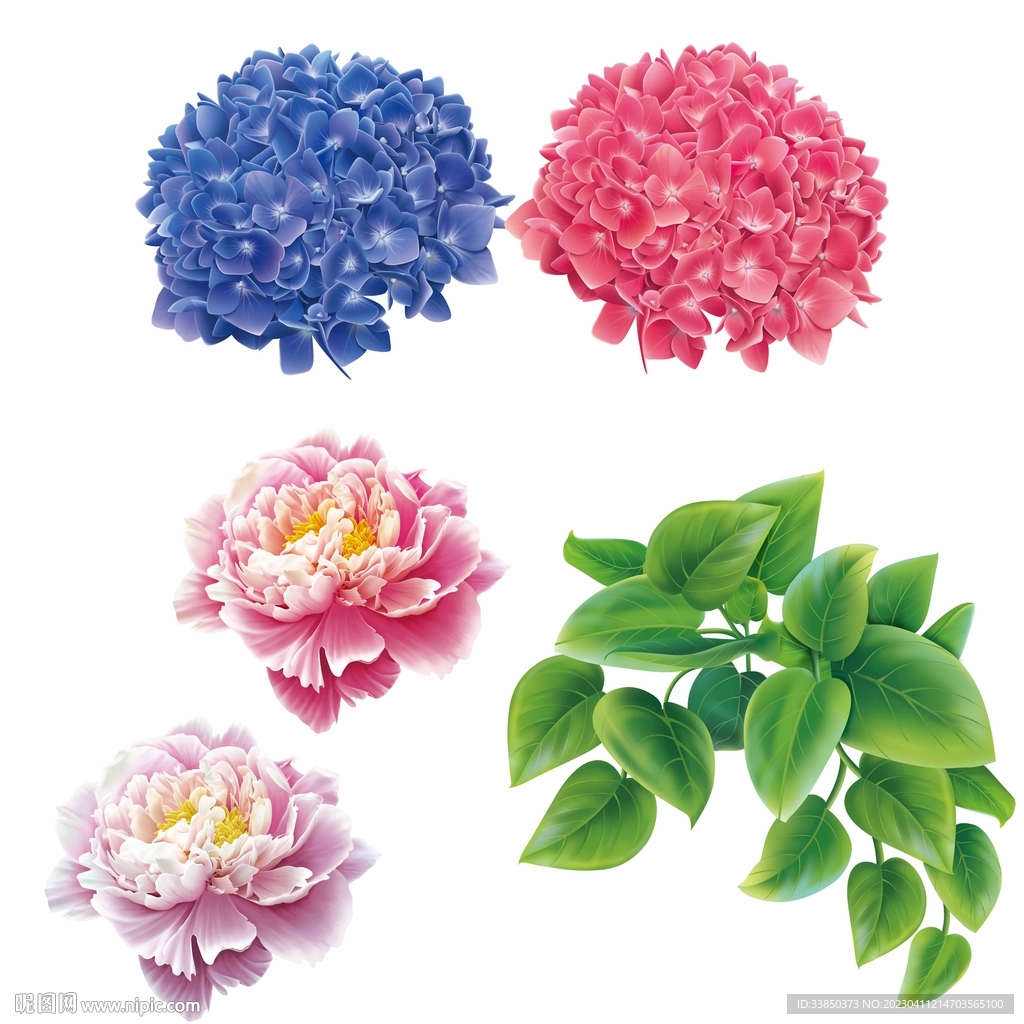 花卉