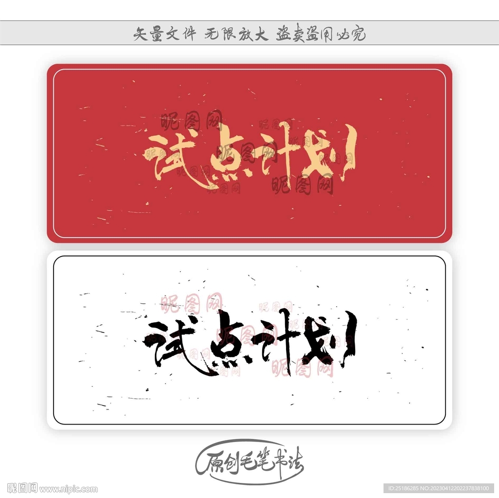 试点计划