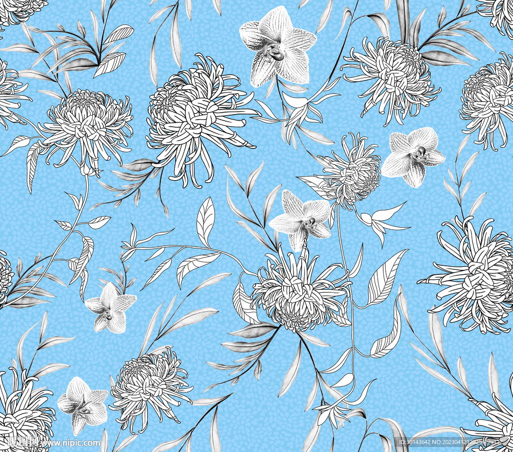 菊花