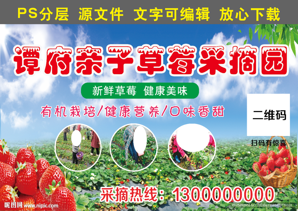草莓采摘园