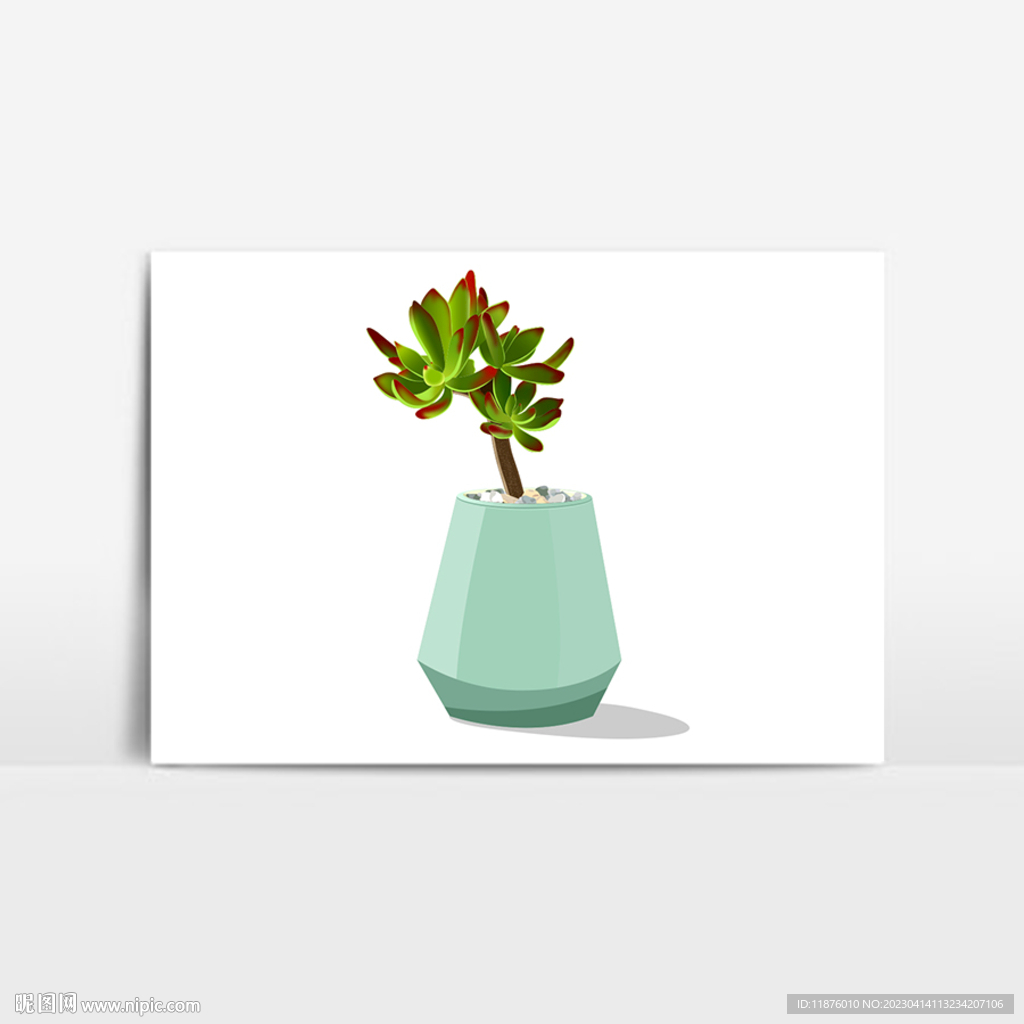 多肉植物