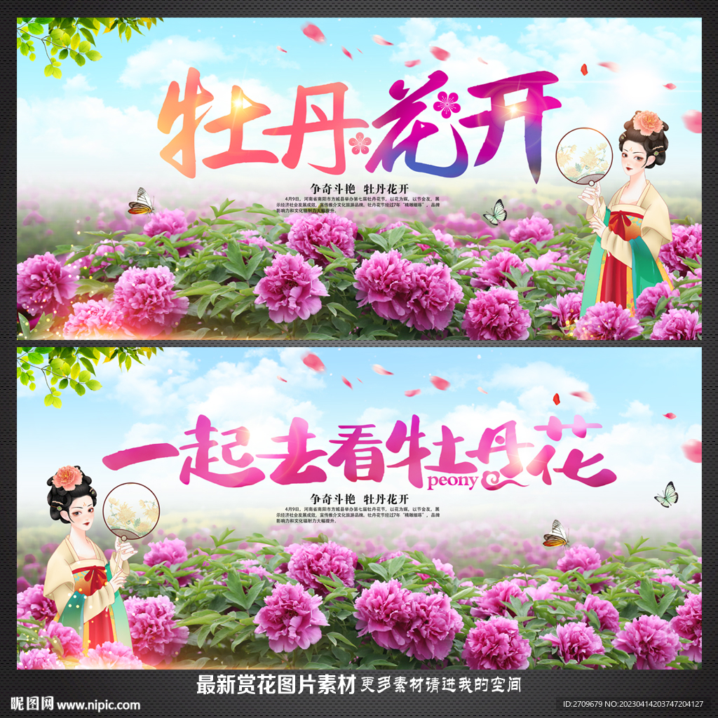 牡丹花