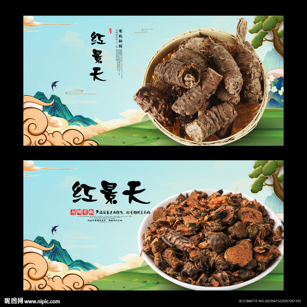 红景天