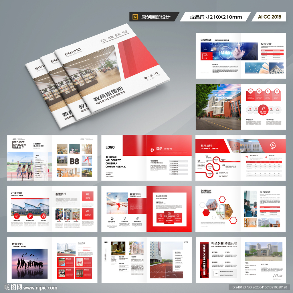 正方形教育宣传册