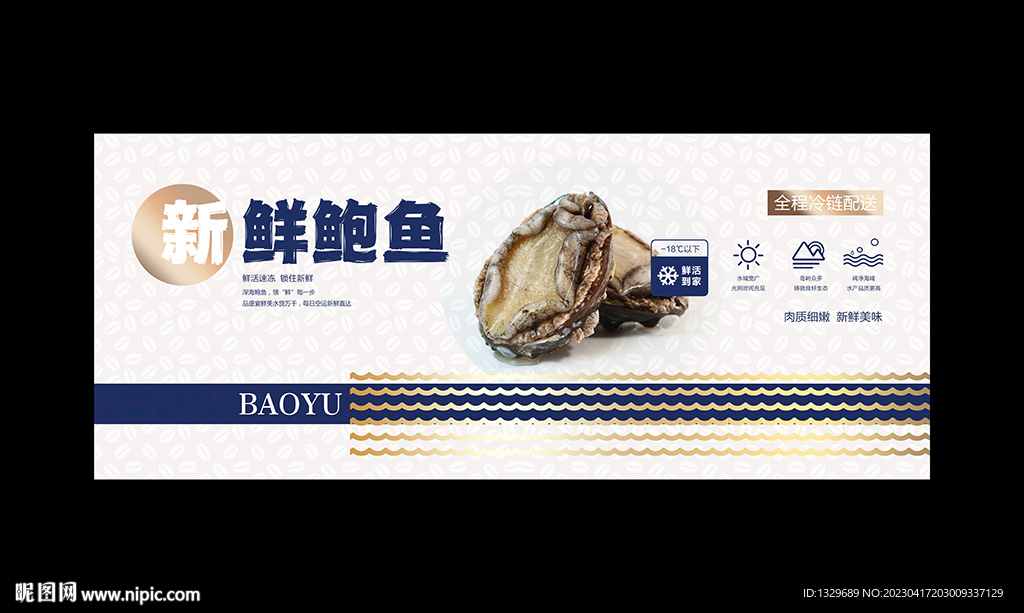 鲍鱼