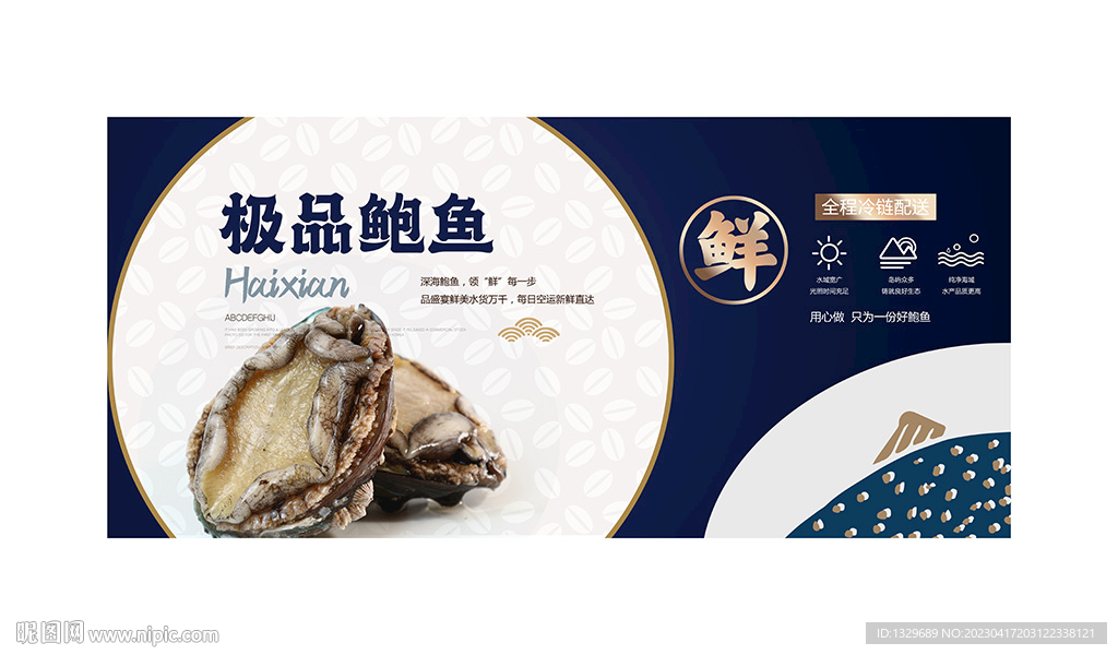 鲍鱼
