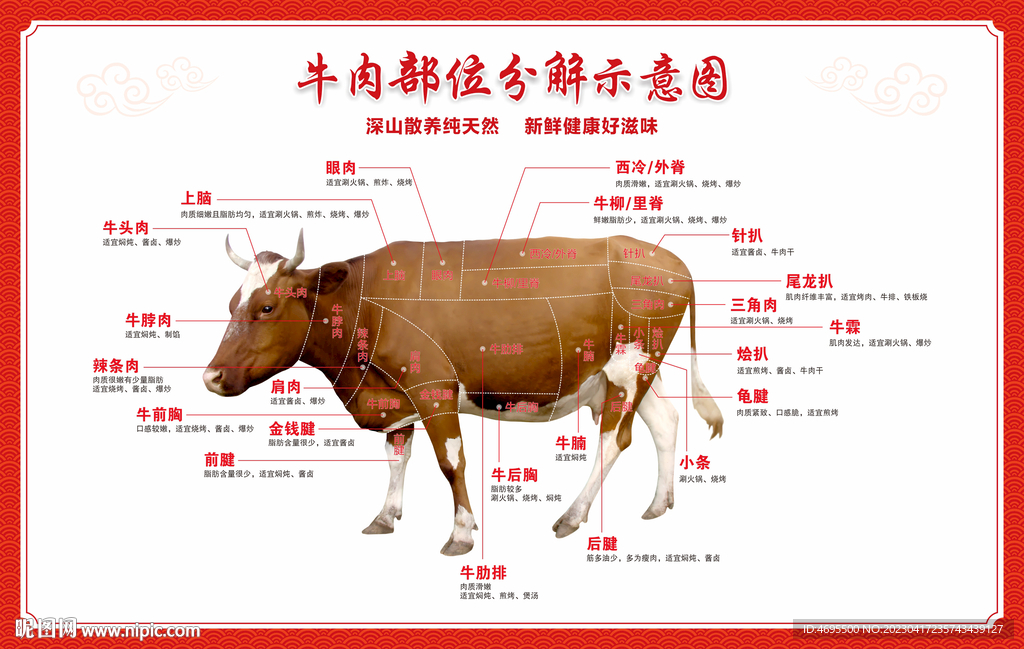 牛肉分割图