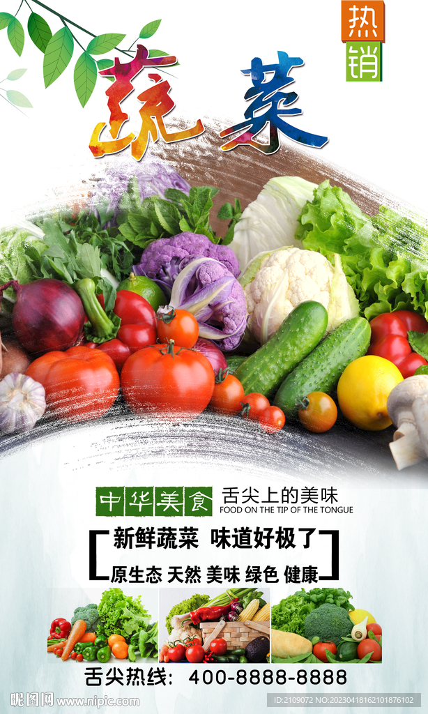 蔬菜  