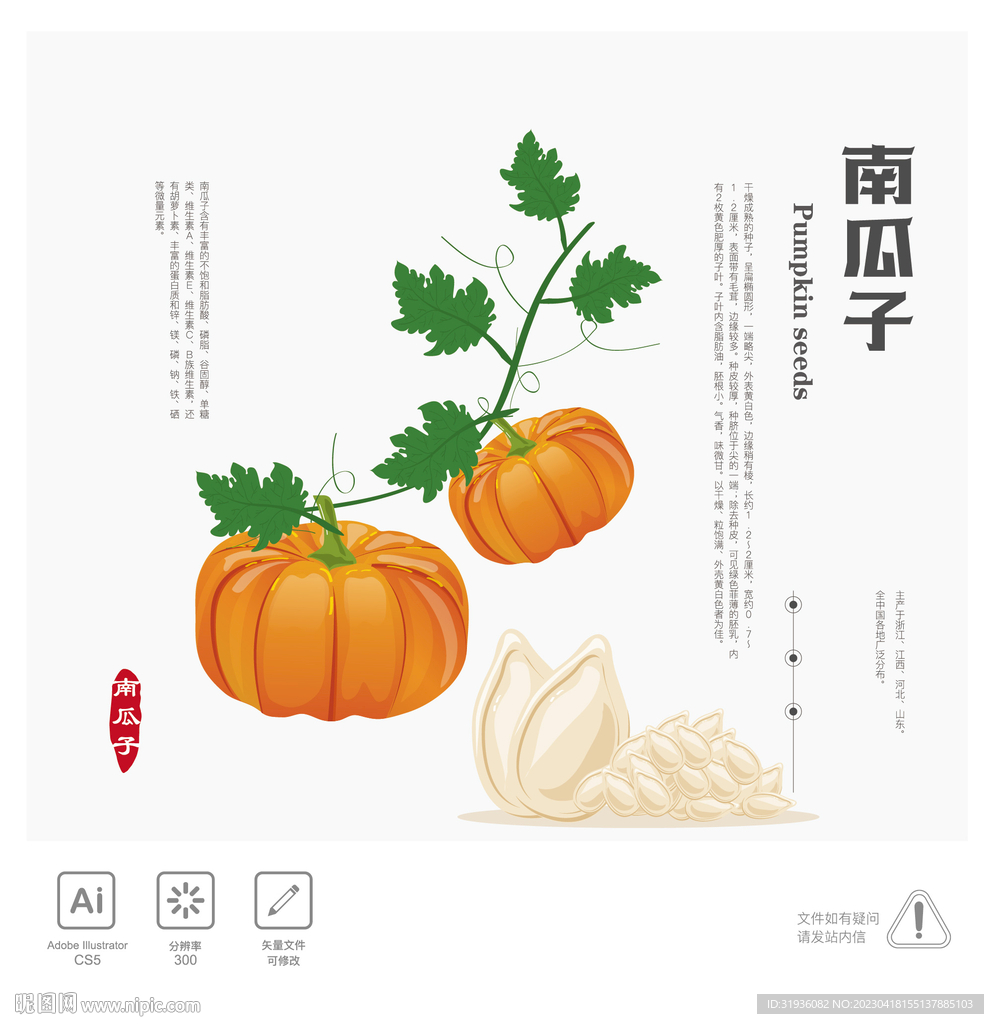 南瓜子 插画