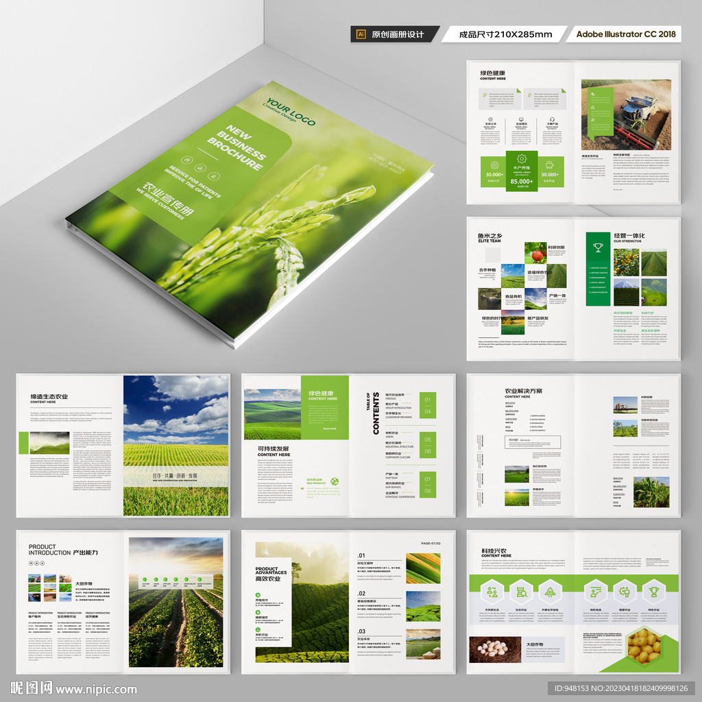 农产品宣传册