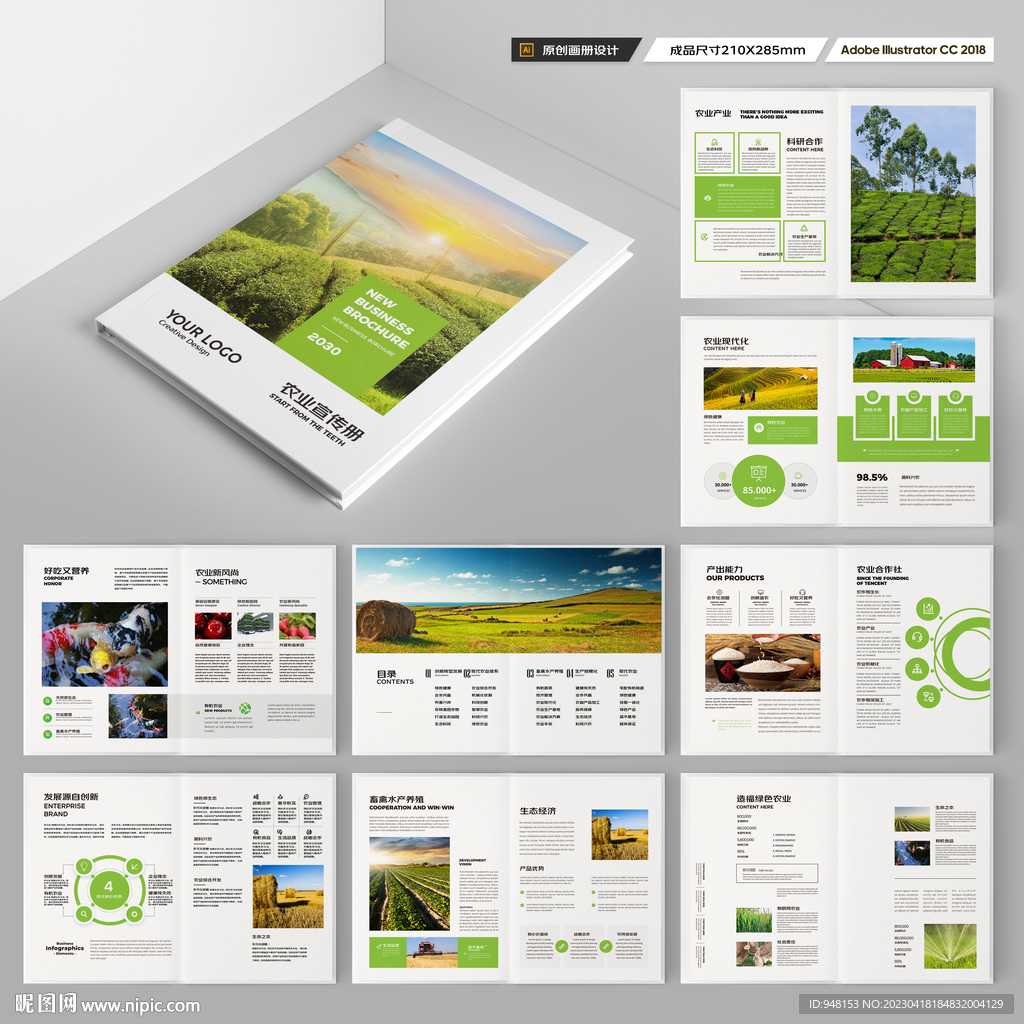 农产品宣传册