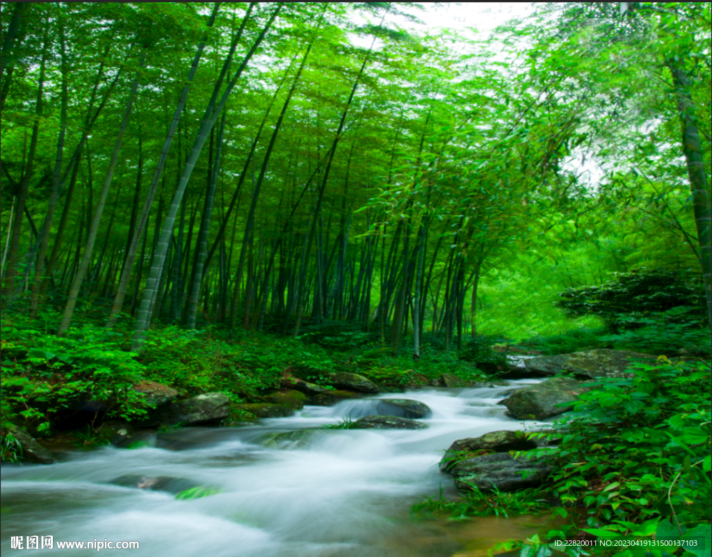 竹林小溪