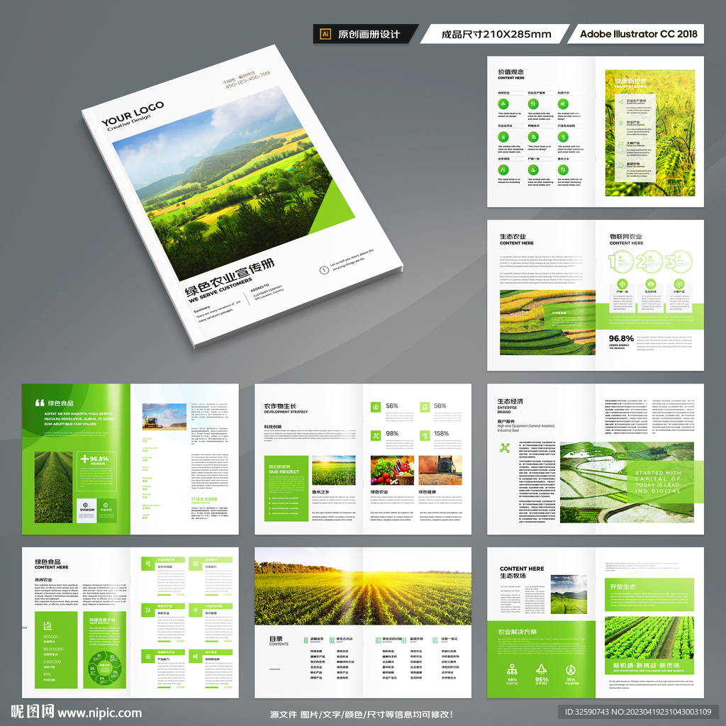 农产品宣传册